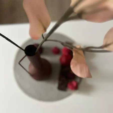 Apartman Tara Szabadka