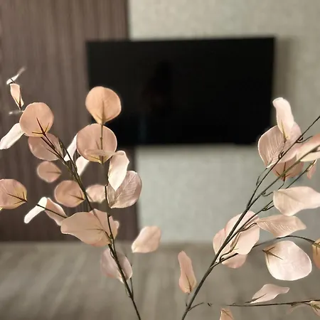 Apartman Tara